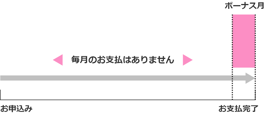 イメージ：ボーナス一括払い