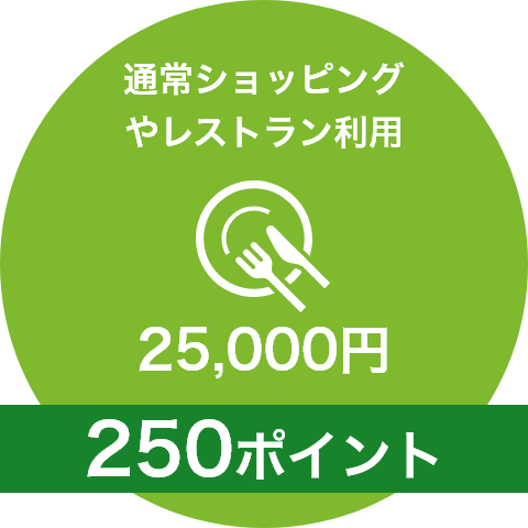 通常ショッピングやレストラン利用25,000円＜250ポイント＞